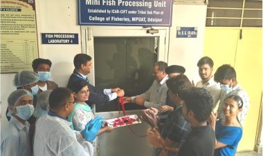 मात्स्यकी महाविद्यालय में छोटी मत्स्य प्रंशस्करण इकाई का उद्घाटन